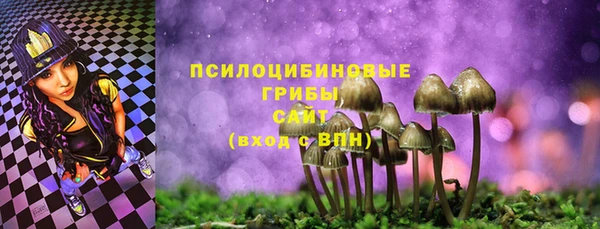 винт Богданович